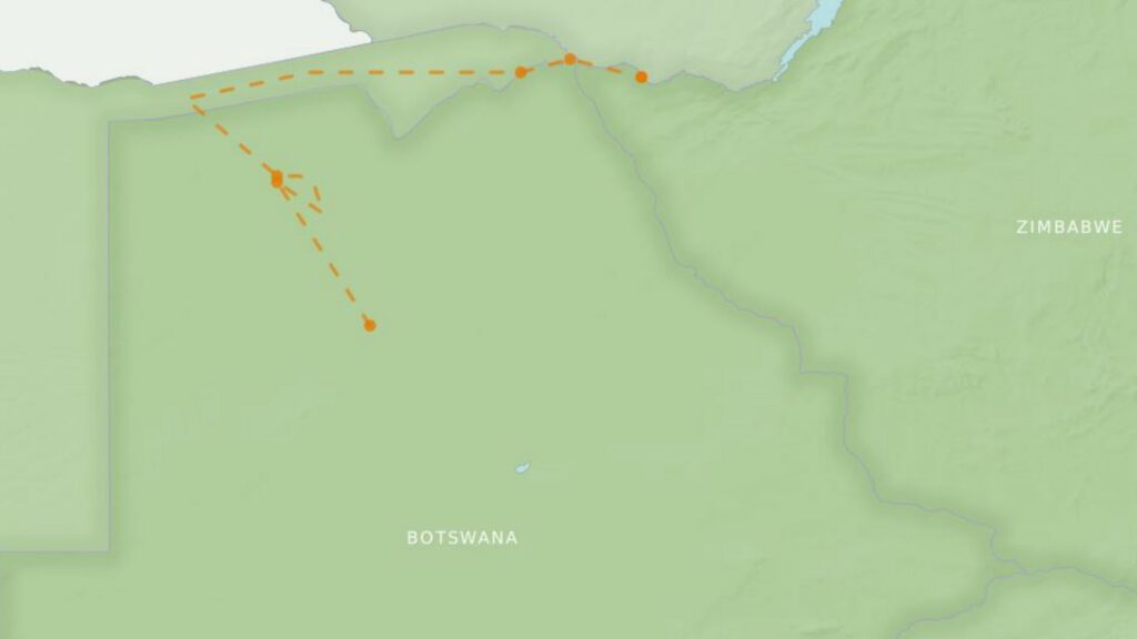 BOTSWANA HIGHLIGHTS 6 GG