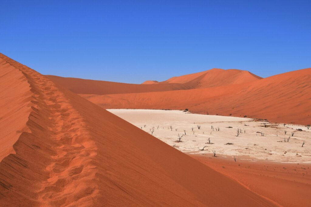 NAMIBIA DREAMING